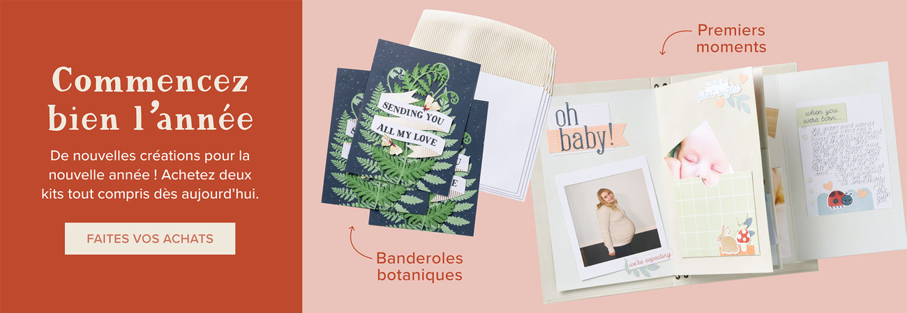 Dbws hmpg wnew all fr 1225 q4 consolidated product release